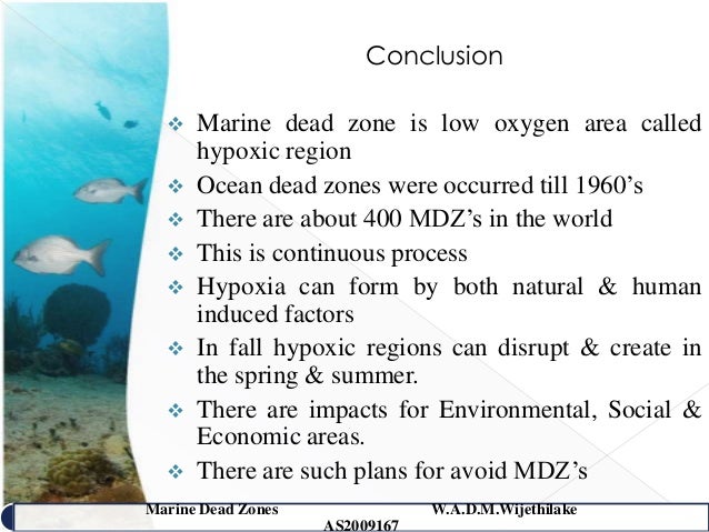 marine dead zones how dead zones form