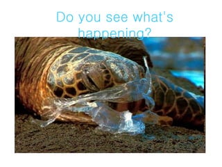 Do you see what's happening? 