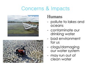Concerns & Impacts Humans pollute to lakes and oceans contaminate our drinking water bad environment for us clogs/damaging our water system may run out of clean water 