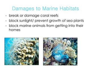 Damages to Marine Habitats break or damage coral reefs block sunlight/ prevent growth of sea plants block marine animals from getting into their homes 