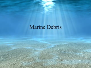 Marine Debris 