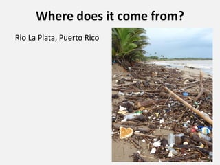 Where does it come from?
Rio La Plata, Puerto Rico
 