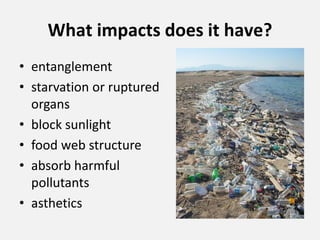What impacts does it have?
• entanglement
• starvation or ruptured
organs
• block sunlight
• food web structure
• absorb harmful
pollutants
• asthetics
 