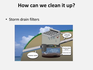 How can we clean it up?
• Storm drain filters
 