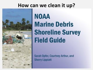 How can we clean it up?
 