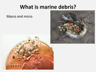 What is marine debris?
Macro and micro
 