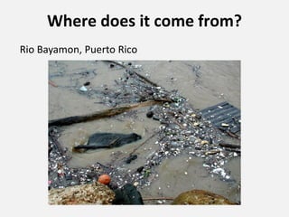 Where does it come from?
Rio Bayamon, Puerto Rico
 