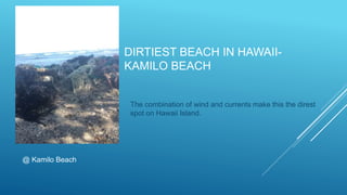 DIRTIEST BEACH IN HAWAII-
KAMILO BEACH
The combination of wind and currents make this the direst
spot on Hawaii Island.
@ Kamilo Beach
 