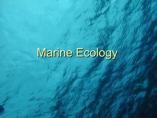 Marine Ecology 