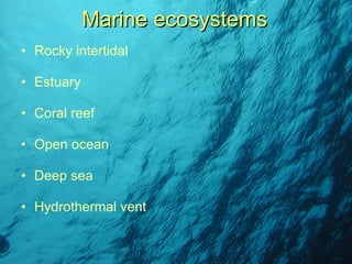 Rocky intertidal Estuary Coral reef Open ocean  Deep sea Hydrothermal vent Marine ecosystems 
