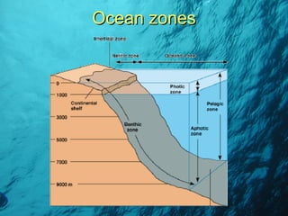Ocean zones 