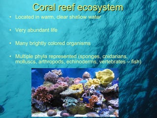 Located in warm, clear shallow water Very abundant life Many brightly colored organisms Multiple phyla represented (sponges, cnidarians, molluscs, arthropods, echinoderms, vertebrates – fish) Coral reef ecosystem 