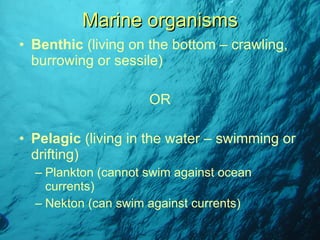 Benthic  (living on the bottom – crawling, burrowing or sessile) OR Pelagic  (living in the water – swimming or drifting) Plankton (cannot swim against ocean currents) Nekton (can swim against currents) Marine organisms 