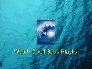 Watch Coral Seas Playlist 
