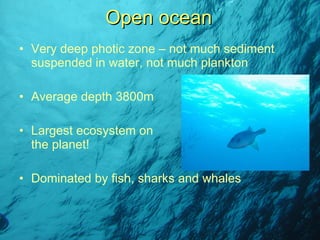 Very deep photic zone – not much sediment suspended in water, not much plankton Average depth 3800m Largest ecosystem on  the planet! Dominated by fish, sharks and whales Open ocean 