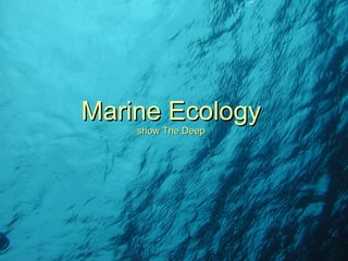 Marine Ecology show The Deep 