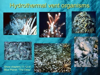 Hydrothermal vent organisms Show chapters 11-12 of Blue Planet: “The Deep” 