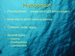Photosynthetic… create most of Earth’s oxygen! Must stay in photic zone to survive Common name: algae Several types: Diatoms Dinoflagellates Cyanobacteria Phytoplankton 