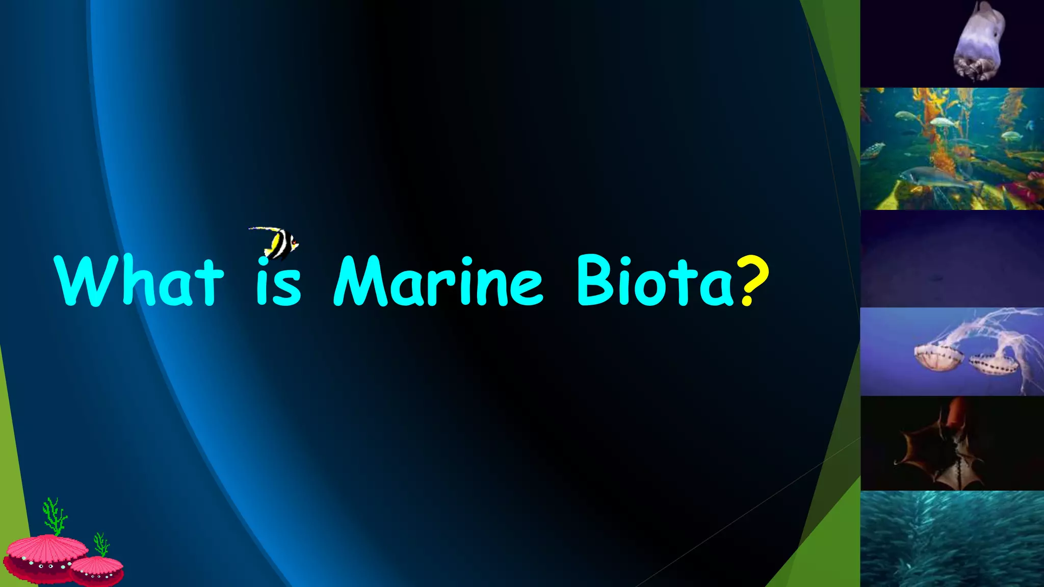 What is Marine Biota?
 