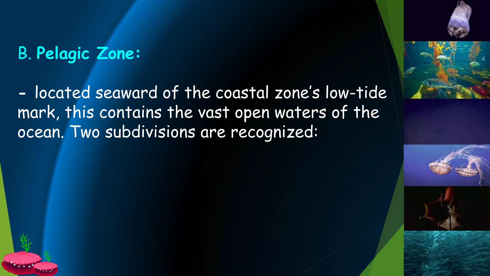 B. Pelagic Zone:
- located seaward of the coastal zone’s low-tide
mark, this contains the vast open waters of the
ocean. Two subdivisions are recognized:
 