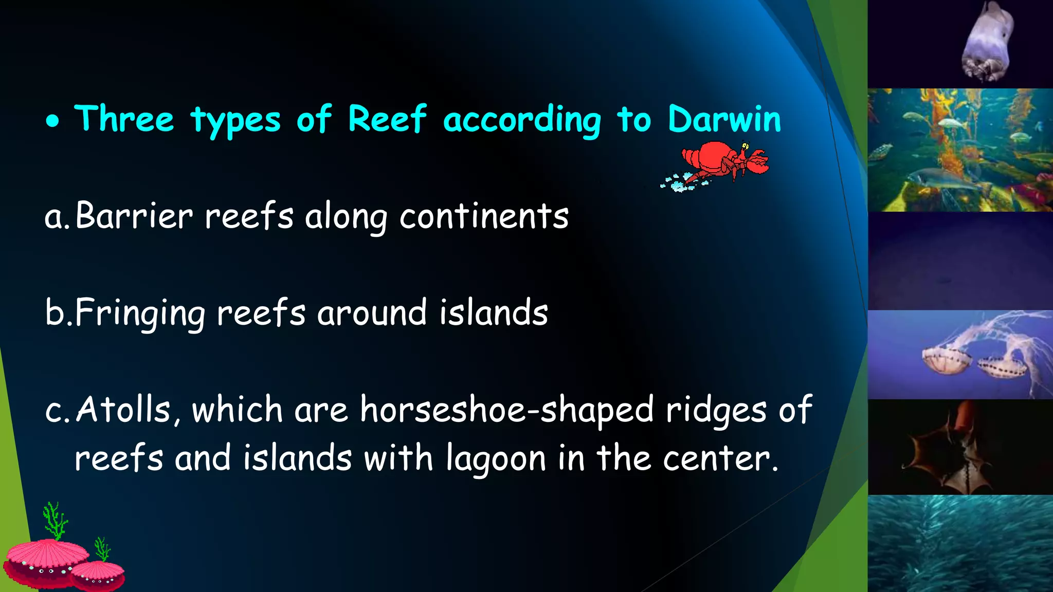  Three types of Reef according to Darwin
a.Barrier reefs along continents
b.Fringing reefs around islands
c.Atolls, which are horseshoe-shaped ridges of
reefs and islands with lagoon in the center.
 