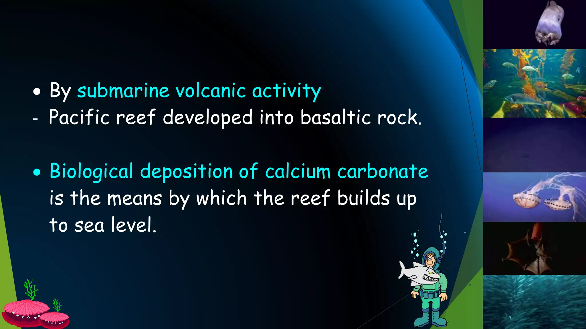  By submarine volcanic activity
- Pacific reef developed into basaltic rock.
 Biological deposition of calcium carbonate
is the means by which the reef builds up
to sea level.
 