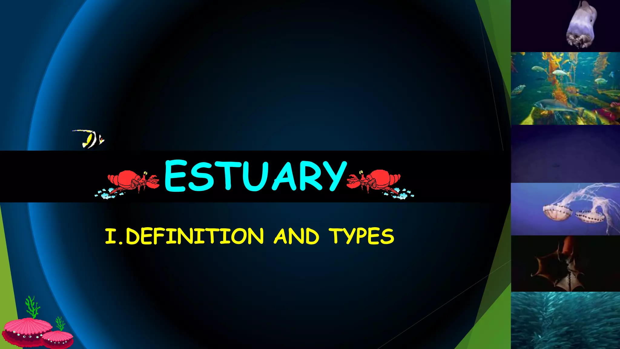 I.DEFINITION AND TYPES
ESTUARY
 
