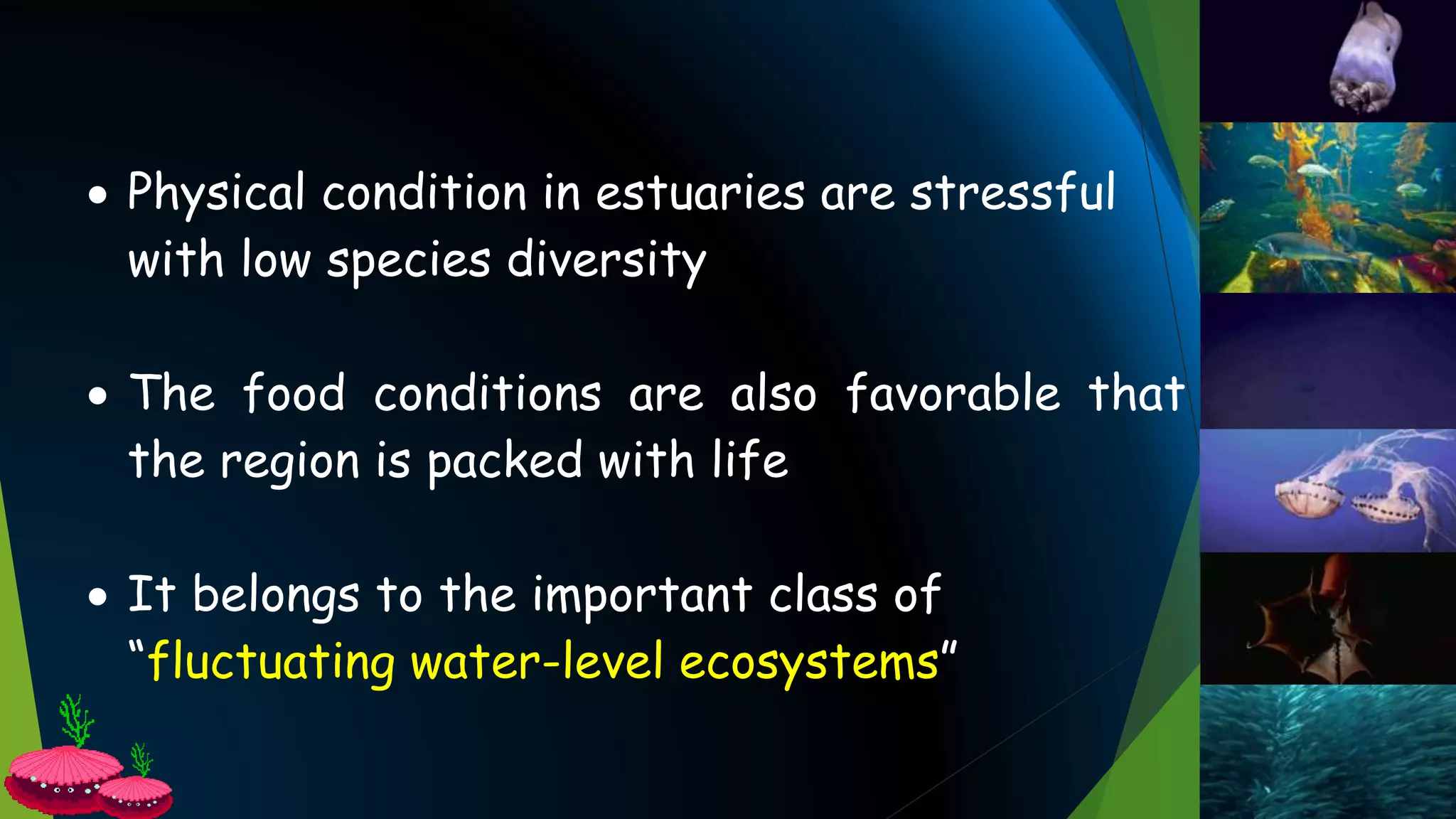  Physical condition in estuaries are stressful
with low species diversity
 The food conditions are also favorable that
the region is packed with life
 It belongs to the important class of
“fluctuating water-level ecosystems”
 