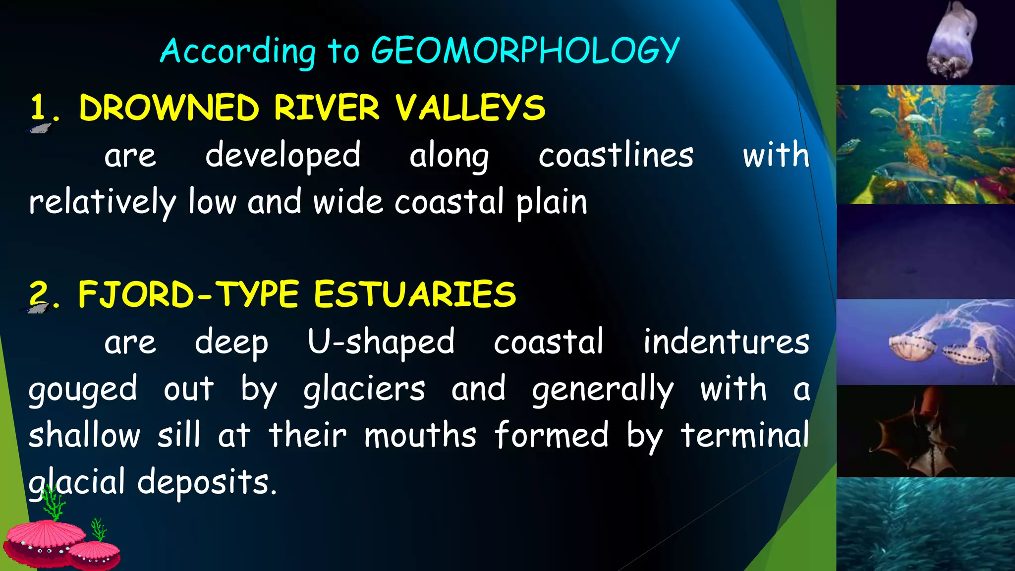 According to GEOMORPHOLOGY
1. DROWNED RIVER VALLEYS
are developed along coastlines with
relatively low and wide coastal plain
2. FJORD-TYPE ESTUARIES
are deep U-shaped coastal indentures
gouged out by glaciers and generally with a
shallow sill at their mouths formed by terminal
glacial deposits.
 