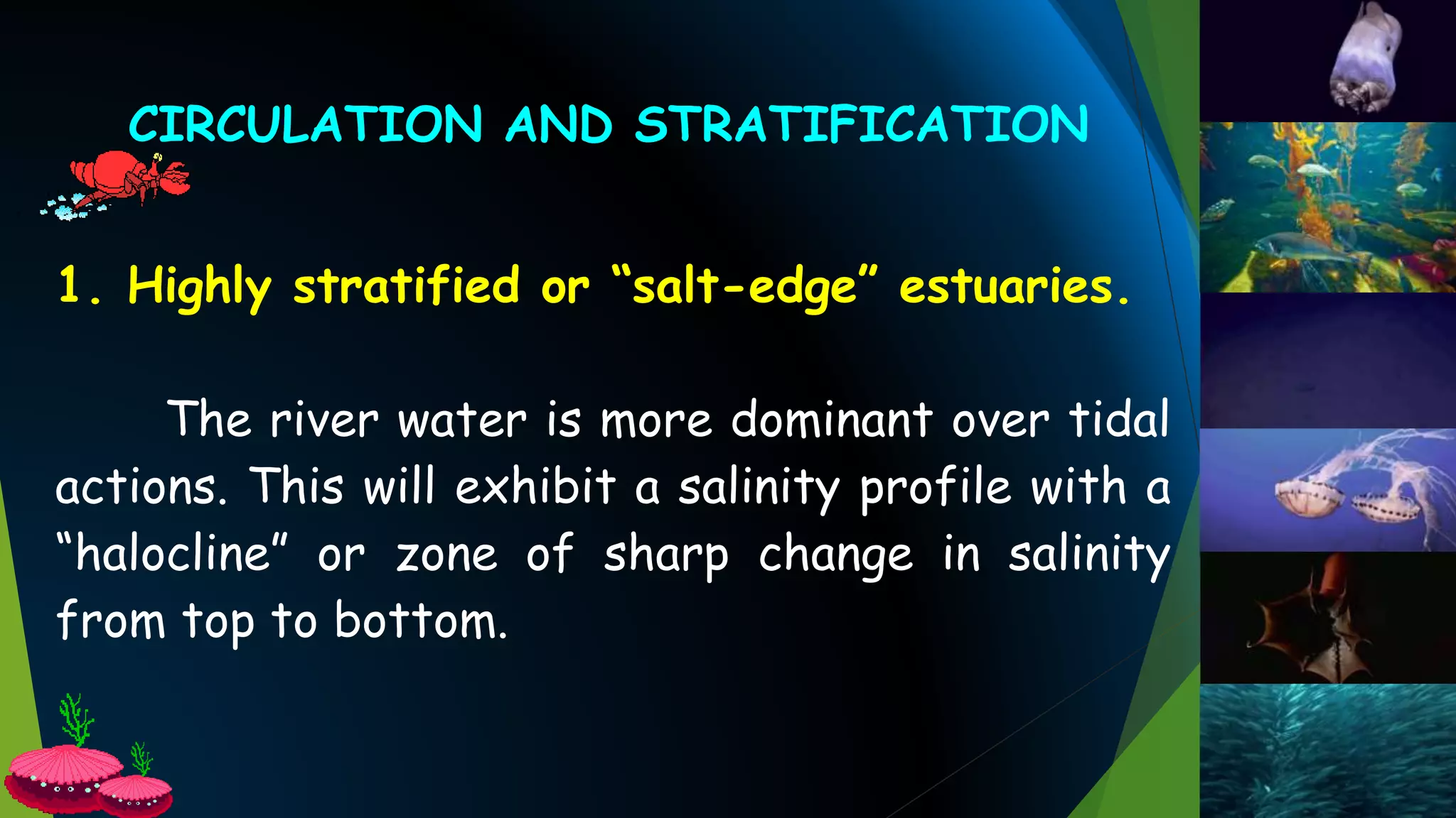 1. Highly stratified or “salt-edge” estuaries.
The river water is more dominant over tidal
actions. This will exhibit a salinity profile with a
“halocline” or zone of sharp change in salinity
from top to bottom.
CIRCULATION AND STRATIFICATION
 