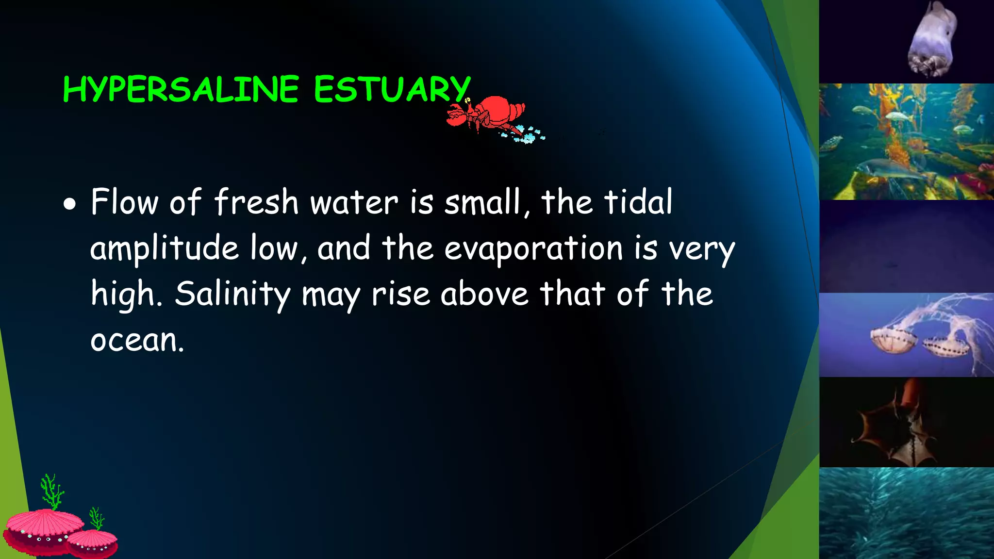 HYPERSALINE ESTUARY
 Flow of fresh water is small, the tidal
amplitude low, and the evaporation is very
high. Salinity may rise above that of the
ocean.
 