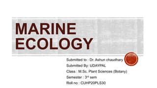MARINE
ECOLOGY
Submitted to : Dr. Ashun chaudhary
Submitted By: UDAYPAL
Class : M.Sc. Plant Sciences (Botany)
Semester : 3rd sem
Roll no : CUHP20PLS30
 