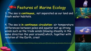 3. The sea is continuous, not separated as our land and
fresh water habitats.
4. The sea is in continuous circulation- air temperature
differences between poles and equator set up strong
winds such as the trade winds (blowing steadily in the
same direction the year around) which, together with
rotation of the Earth, creat
https://upload.wikimedia.org/wikipedia/commons/f/f0/Ocean_flows_at_surface_and_2000_meters_below_sea_level.webme different currents
Features of Marine Ecology
 