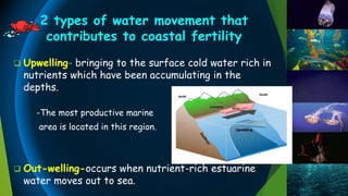 2 types of water movement that
contributes to coastal fertility
 Upwelling- bringing to the surface cold water rich in
nutrients which have been accumulating in the
depths.
-The most productive marine
area is located in this region.
 Out-welling-occurs when nutrient-rich estuarine
water moves out to sea.
 