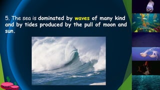 5. The sea is dominated by waves of many kind
and by tides produced by the pull of moon and
sun.
 