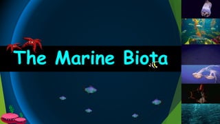 The Marine Biota
 