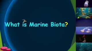 What is Marine Biota?
 