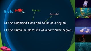 Biota
 The combined flora and fauna of a region.
 The animal or plant life of a particular region.
Plants!
Animals!
 