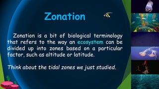 Zonation is a bit of biological terminology
that refers to the way an ecosystem can be
divided up into zones based on a particular
factor, such as altitude or latitude.
Think about the tidal zones we just studied.
Zonation
 