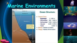 Marine Environments
 