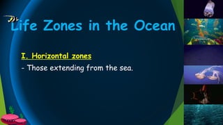 Life Zones in the Ocean
I. Horizontal zones
- Those extending from the sea.
 