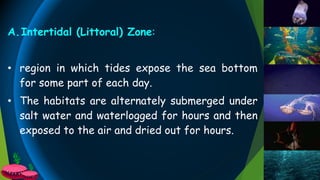 A.Intertidal (Littoral) Zone:
• region in which tides expose the sea bottom
for some part of each day.
• The habitats are alternately submerged under
salt water and waterlogged for hours and then
exposed to the air and dried out for hours.
 