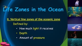 Life Zones in the Ocean
II. Vertical line zones of the oceanic zone
Defined by:
• How much light it receives
• Depth
• Amount of pressure
 