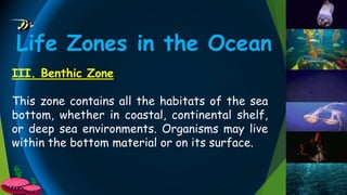 III. Benthic Zone
This zone contains all the habitats of the sea
bottom, whether in coastal, continental shelf,
or deep sea environments. Organisms may live
within the bottom material or on its surface.
Life Zones in the Ocean
 
