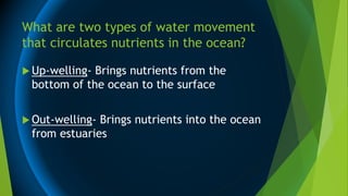 What are two types of water movement
that circulates nutrients in the ocean?
 Up-welling- Brings nutrients from the
bottom of the ocean to the surface
 Out-welling- Brings nutrients into the ocean
from estuaries
 