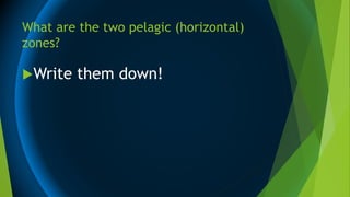 What are the two pelagic (horizontal)
zones?
Write them down!
 