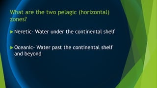 What are the two pelagic (horizontal)
zones?
 Neretic- Water under the continental shelf
 Oceanic- Water past the continental shelf
and beyond
 