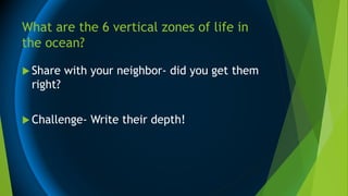 What are the 6 vertical zones of life in
the ocean?
 Share with your neighbor- did you get them
right?
 Challenge- Write their depth!
 