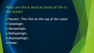 What are the 6 vertical zones of life in
the ocean?
 Neustic- Thin film on the top of the water
 Epipelagic-
 Mesopelagic-
 Bathypelagic-
 Abyssopelagic-
 Hadal-
 