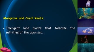  Emergent land plants that tolerate the
salinities of the open sea.
Mangrove and Coral Reefs
 